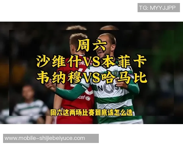 运动新闻本菲卡与沙维什历史交锋回顾及战绩分析